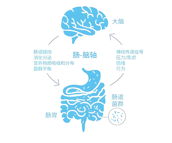图片 3.png 图片 3.png